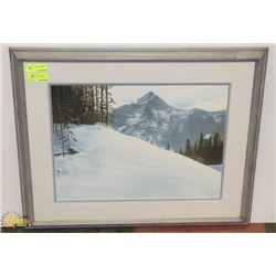 SIGNED NUMBERED DEER PRINT BY M. BAYNTON