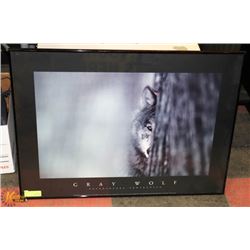 FRAMED GRAY WOLF BY BRANDENBURG PHOTOGRAPHY