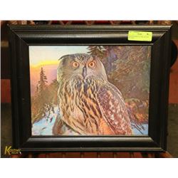 WOOD FRAMED 3-D OWL MOVING PICTURE -