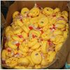 Image 1 : XL BOX OF RUBBER DUCKIE SETS