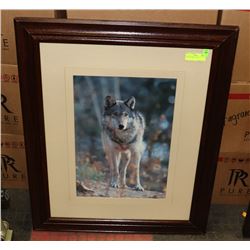 WOLF PICTURE 27 1/2 X 33