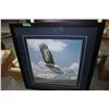 Image 1 : Large, Framed Print of an Eagle Soaring