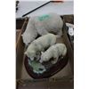 Image 1 : Flat of Bears - Made of Resin **Quite Heavy