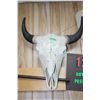 Image 1 : Buffalo Scull