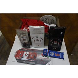 Flat with Hockey Collectibles and a Friendship Stone