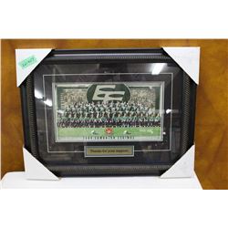 2009 Edmonton Eskimos Photographs - Nicely Framed