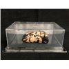 Image 1 : Diecast Car 1/43: Batman Cars - Batman Begins Movie (Prototype) Detective Comics