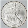 Image 1 : 2007-W AMERICAN SILVER EAGLE