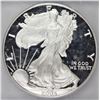 Image 1 : 2005-W AMERICAN SILVER EAGLE