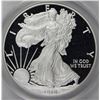 Image 1 : 2010-W AMERICAN SILVER EAGLE