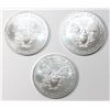 Image 2 : THREE 2019 AMERICAN SILVER EAGLES