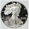Image 1 : 1988 AMERICAN SILVER EAGLE