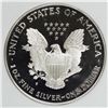 Image 2 : 1996 AMERICAN SILVER EAGLE