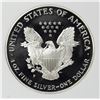 Image 2 : 1999 AMERICAN SILVER EAGLE