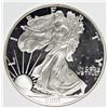 Image 1 : 2001 AMERICAN SILVER EAGLE
