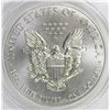 Image 2 : 2012-W AMERICAN SILVER EAGLE