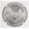 Image 2 : 2019 AMERICAN SILVER EAGLE