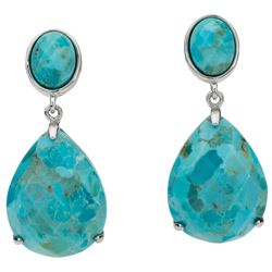 Sterling Silver Turquoise Drop Earrings