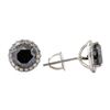 Image 2 : 3.92 ctw Black Diamond Earrings - 14KT White Gold