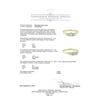 Image 5 : 0.75 ctw Diamond Ring - 14KT Yellow Gold
