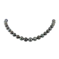 Tahitian Pearl Necklace - 14KT White Gold