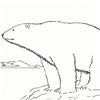 Image 2 : Polar Bear by Wyland Original