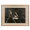 Image 1 : Turning Animal by Jan Stussy