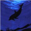 Image 2 : Dolphin by Wyland Original