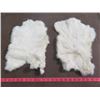 Image 1 : 2 WHITE RABBIT PELTS (16" X 11" ---15" X 10.5")