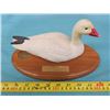 Image 1 : DUCKS UNLIMITED STATUE (2004-2005 SASKATCHEWAN SPONSOR DECOY-SASKATCHEWAN ARTIST: HARVEY WELCH)