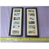 Image 1 : LOT OF FRAMED TEA CARDS