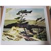 Image 1 : LIMITED EDITION PRINT (A.J. CASSON) *WHITE PINE* (69/77) *GROUP OF SEVEN*