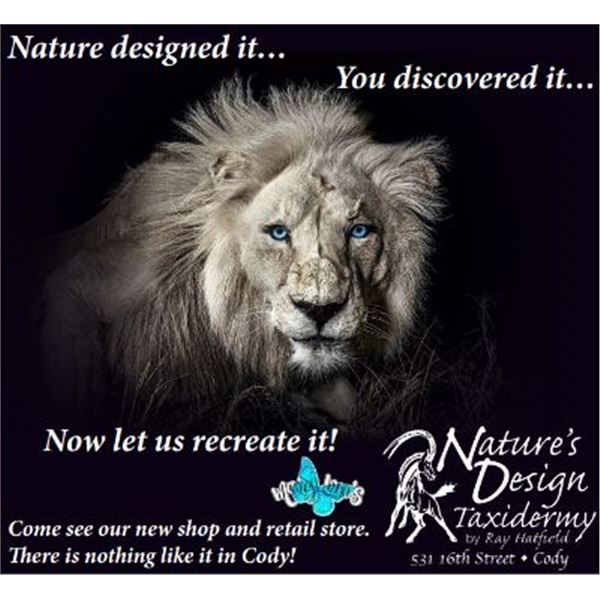 $3,000 Custom Taxidermy Work, By Ray Hatfield