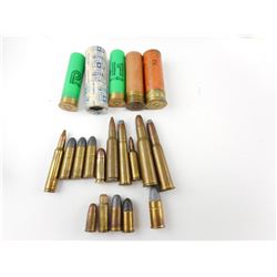 COLLECTIBLE ASSORTED AMMO