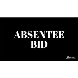 HOW TO PLACE AN ABSENTEE BID