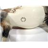 Image 1 : Hand painted Beswick Appaloosa horse, printed factory marks to base, 20cm high