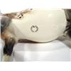 Image 2 : Hand painted Beswick Appaloosa horse, printed factory marks to base, 20cm high