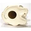 Image 2 : Hand painted seated Sylvac terrier dog, impressed factory marks to base, 13cm high