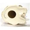 Image 3 : Hand painted seated Sylvac terrier dog, impressed factory marks to base, 13cm high