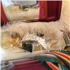 Image 2 : Samsonite Case with Scarves, Belts and Hats