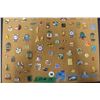 Image 2 : Lapel Pins on Bulletin Board
