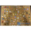 Image 3 : Lapel Pins on Bulletin Board