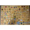 Image 3 : Lapel Pins on Bulletin Board