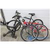 Image 1 : ZZZ; CCM & Raleigh Mountain Bike Frames; Parts bikes; Rough Shape