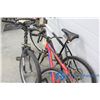 Image 3 : ZZZ; CCM & Raleigh Mountain Bike Frames; Parts bikes; Rough Shape