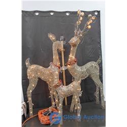 A Light Up Deer Family