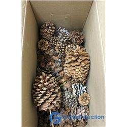 Box of Crafting Pine Cones