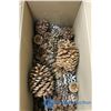 Image 1 : Box of Crafting Pine Cones