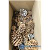 Image 2 : Box of Crafting Pine Cones