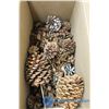 Image 3 : Box of Crafting Pine Cones